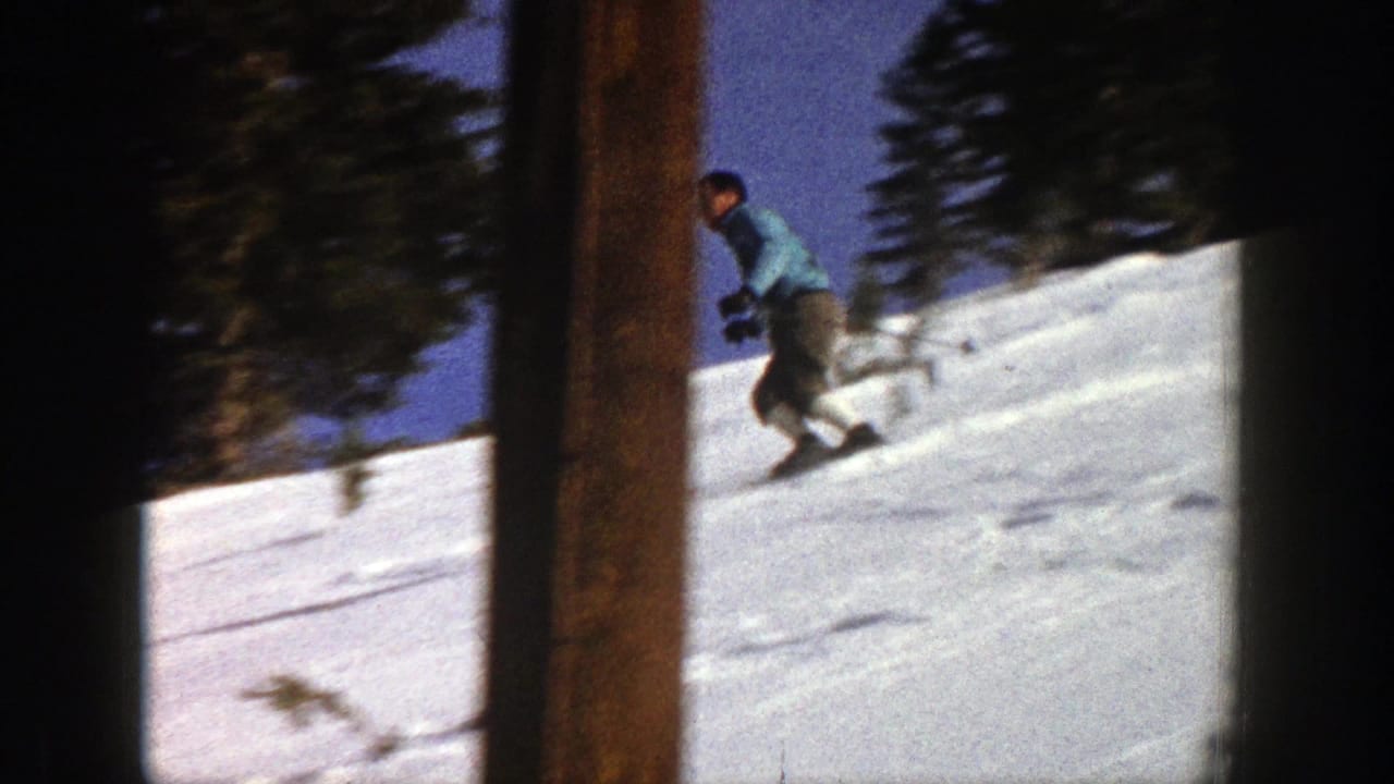 Man in a blue sweater skiing across a snowy slope beside evergreen trees.