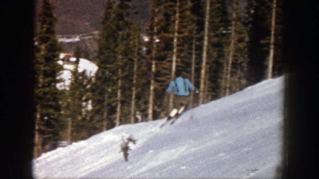 Skier in a blue jacket moves across a snowy slope near evergreen trees.