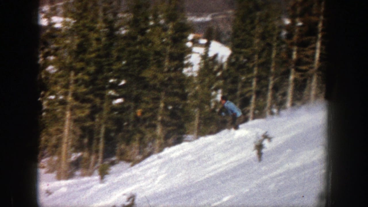 Distant skier crosses a sloped snowy run beside dense evergreen trees.
