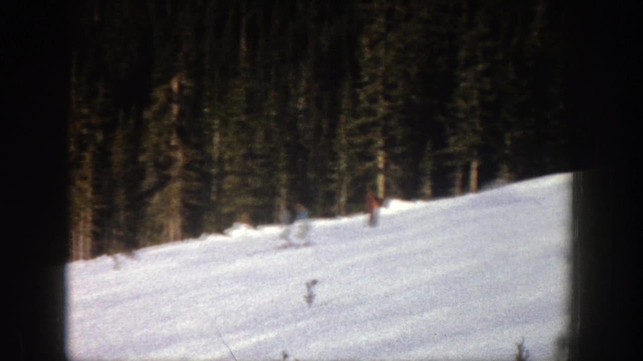 Two distant skiers on a bright snowy slope near a tree line.
