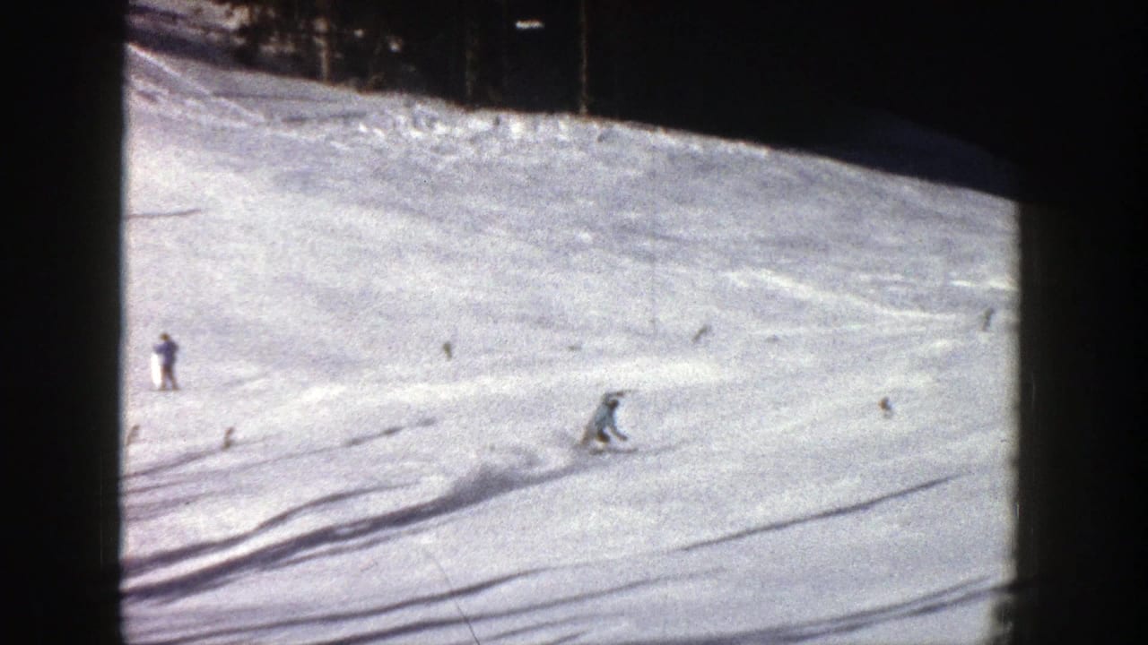 Distant skiers descend a bright snowy slope bordered by dark trees.