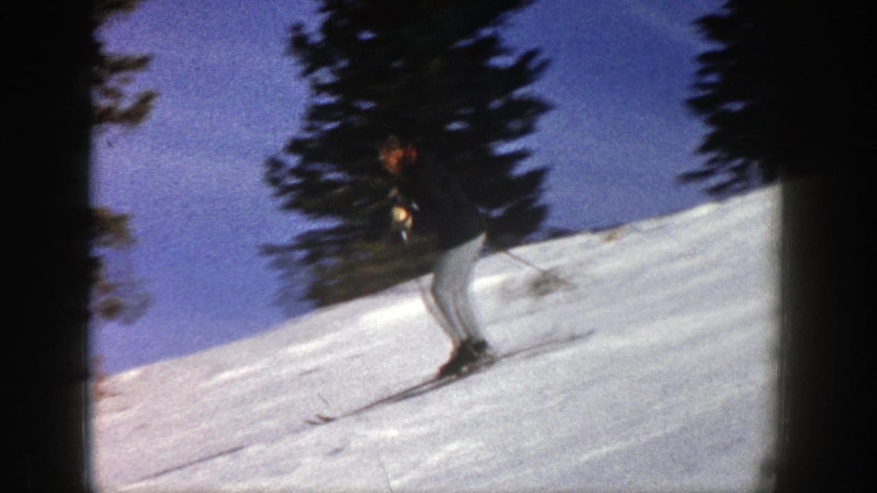Adult skier in dark jacket descends a snowy slope near tall evergreen trees.