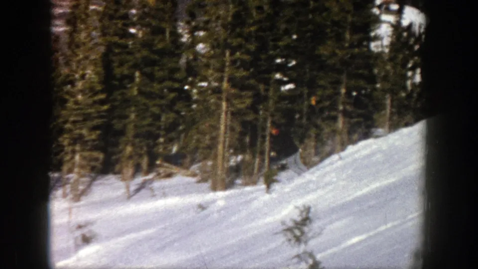 The skier is partly distant on a snow-covered Aspen hillside, with dense evergreens and a small sapling in the foreground.