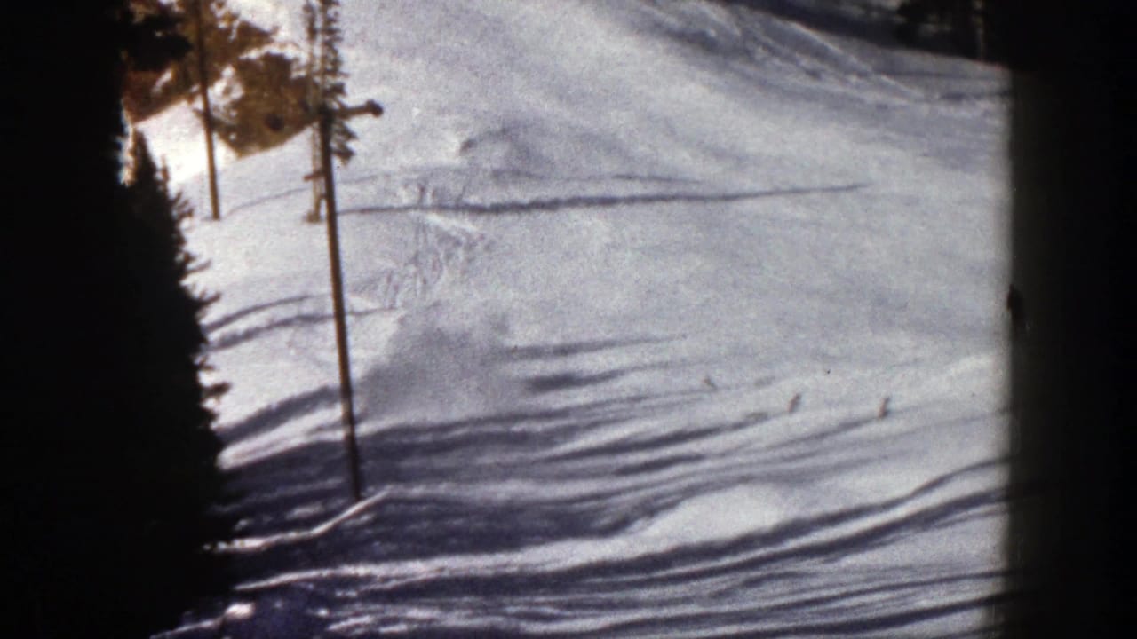 Snowy ski slope with trees, poles, and a skier near the upper run.