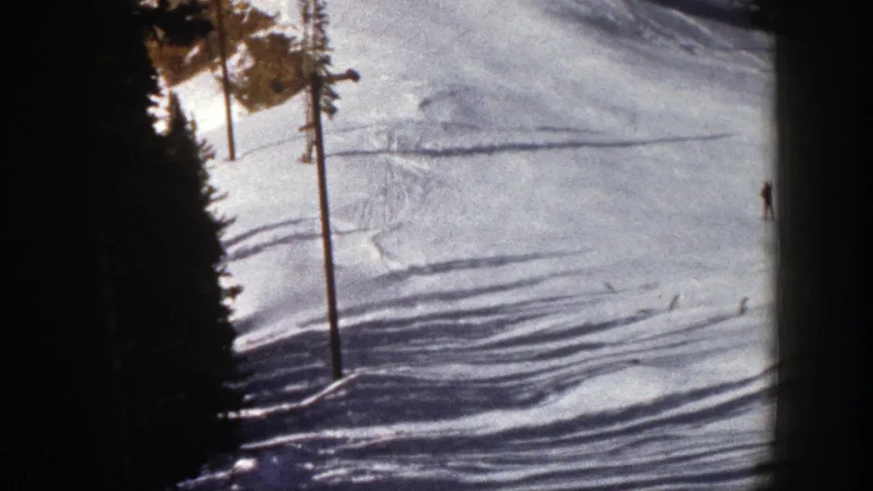 Wide 8mm view of an Aspen ski run with trees and slope poles, while a small skier is barely visible near the right edge.