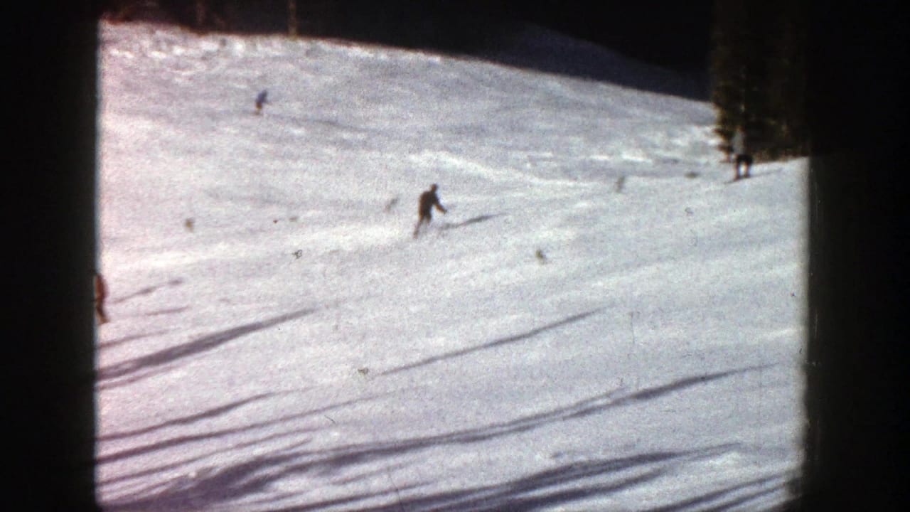 A skier carves downhill on a bright snowy run near trees.