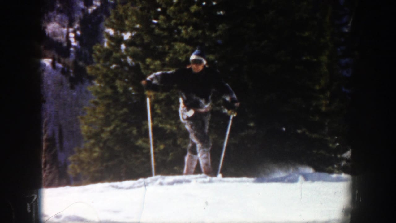 Skier in dark clothing using poles on a snowy slope bordered by evergreen trees.