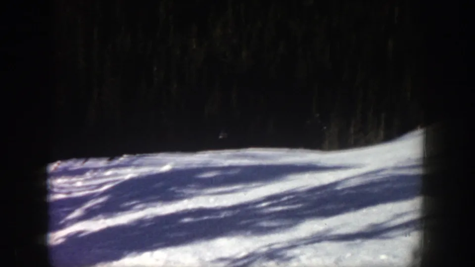 A bright Aspen snow slope fills the frame, bordered by dark trees and crossed by long shadows from the forest.