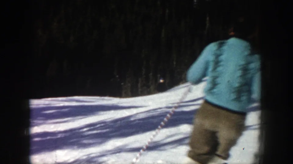 A skier in a blue top is seen from behind on the snowy Aspen slope, holding poles near the dark evergreen forest.