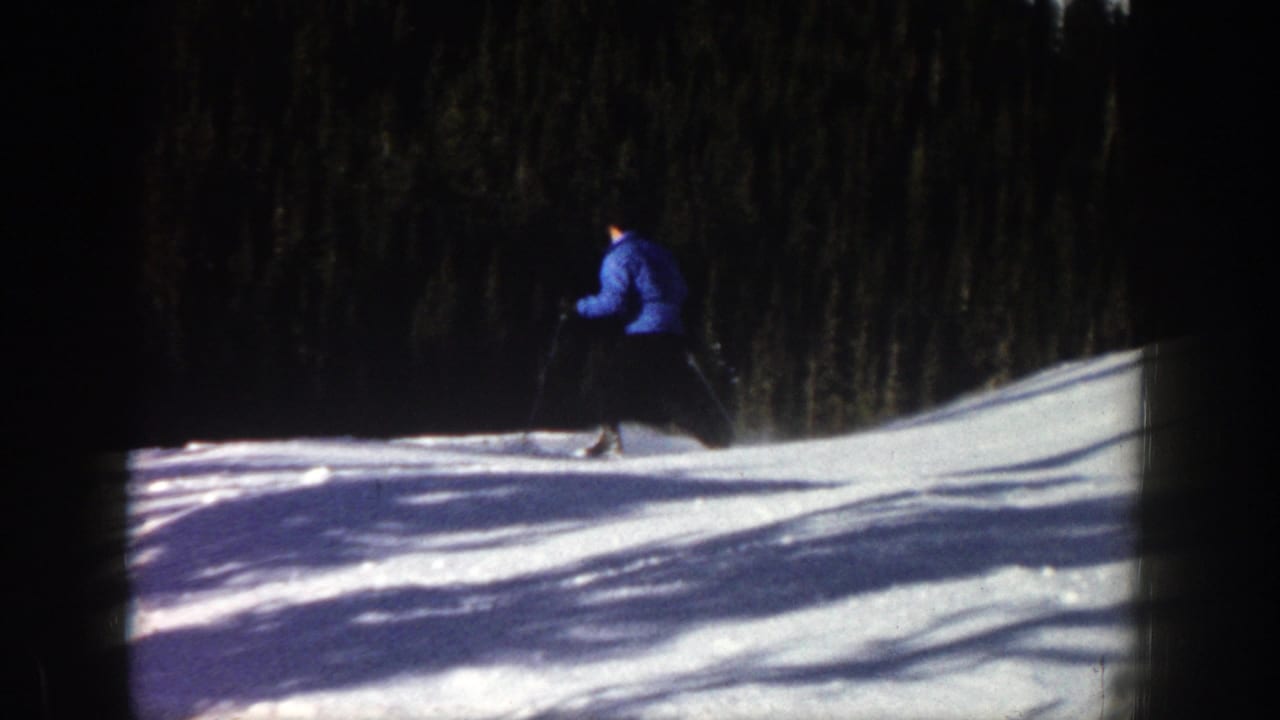 Skier in a blue jacket moves across a snowy slope with evergreen trees behind.