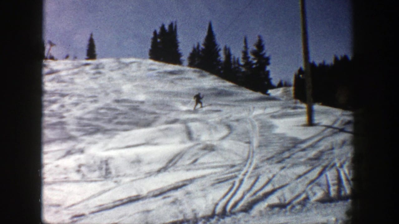 Distant skier descends a snowy slope with evergreen trees and ski tracks behind.