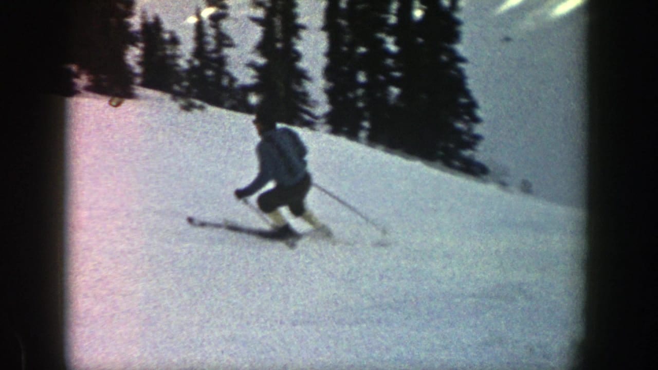 Skier turning across a snowy slope with evergreen trees behind.