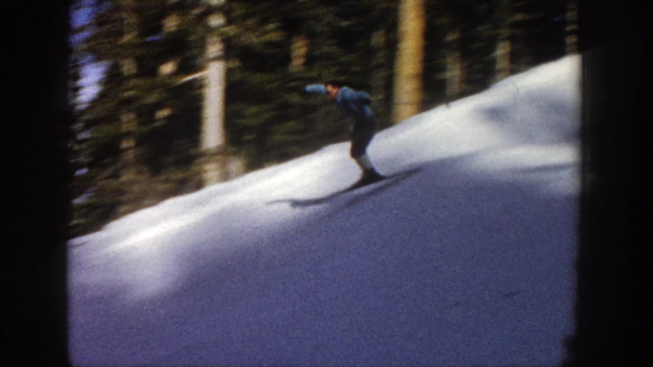 Skier in a blue jacket descends a snowy slope beside evergreen trees.