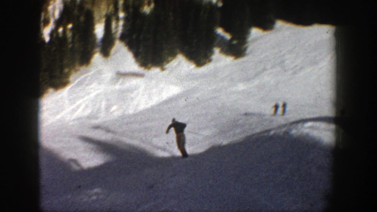 Skier moving across a snowy slope beneath dark evergreen trees.