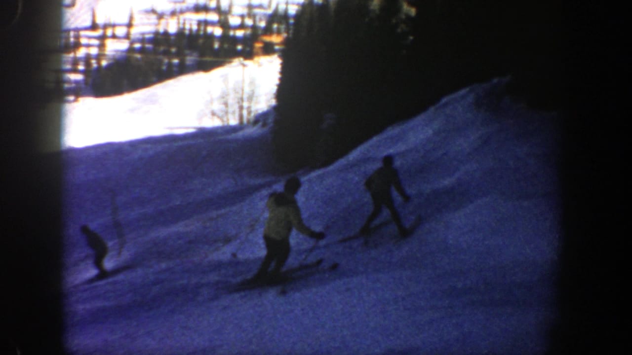 Two skiers descend a snowy slope, with trees and bright snow in the background.