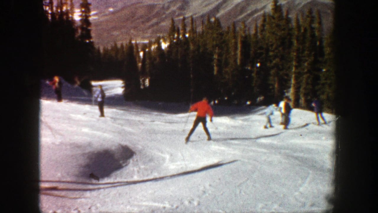 Several skiers descend a snowy slope bordered by evergreen trees and mountains.