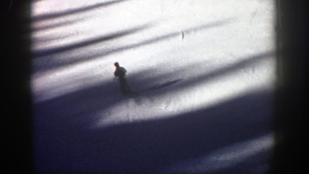 Distant skier crossing a snowy slope in heavy tree shadows.