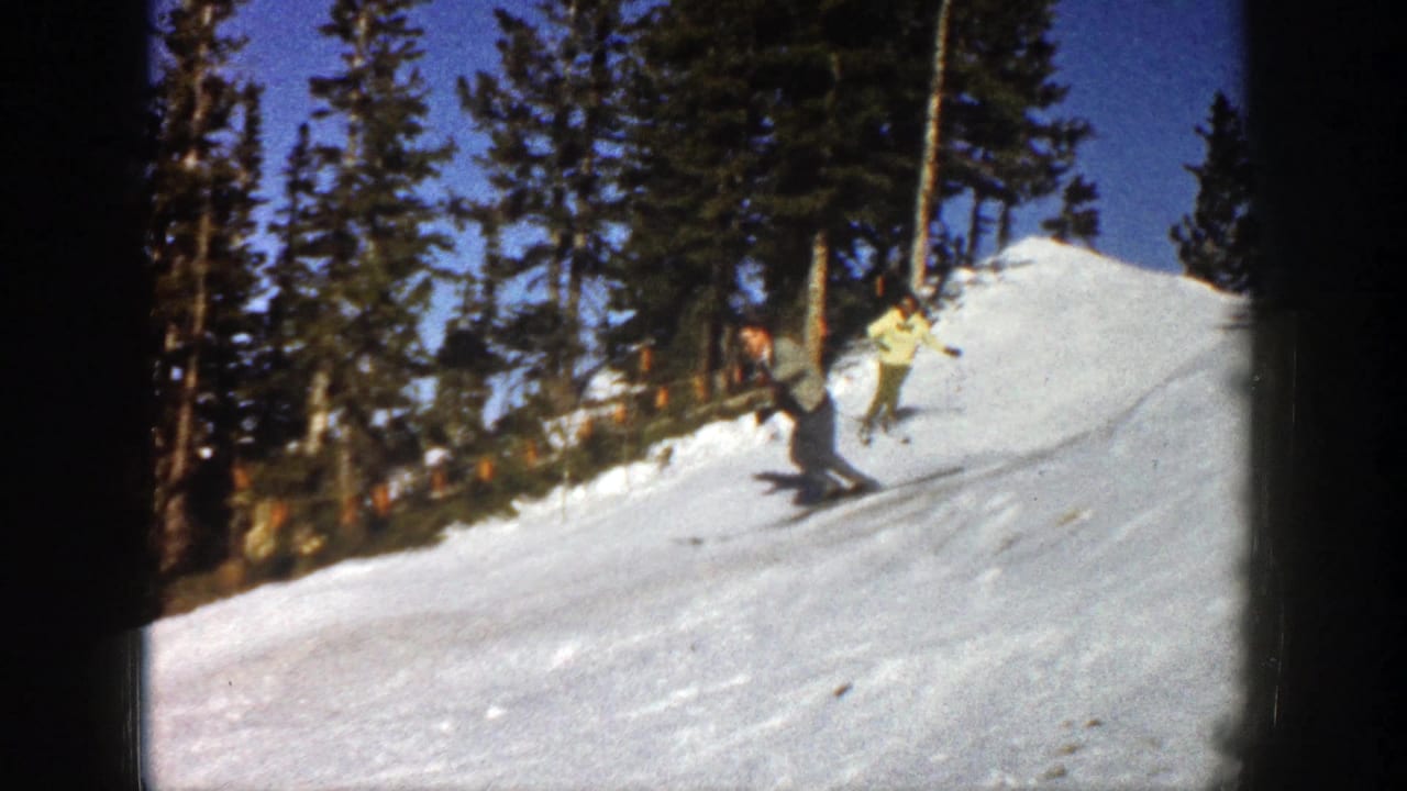Two skiers descend a snowy wooded slope under a blue sky.
