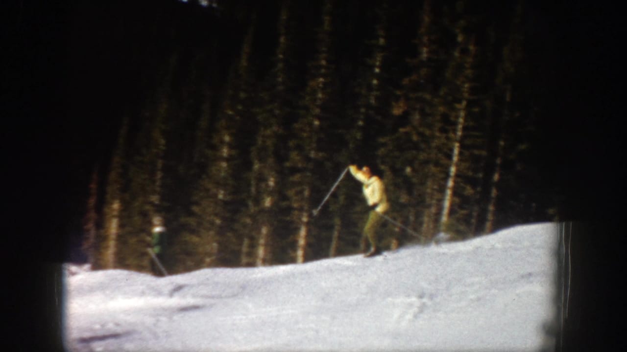 Single skier in a light jacket moves across a snowy slope beside evergreen trees.