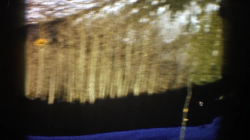 Soft 8mm frame showing pale winter trees, dark foreground shadow, and snow at the edge of a Colorado ski landscape.
