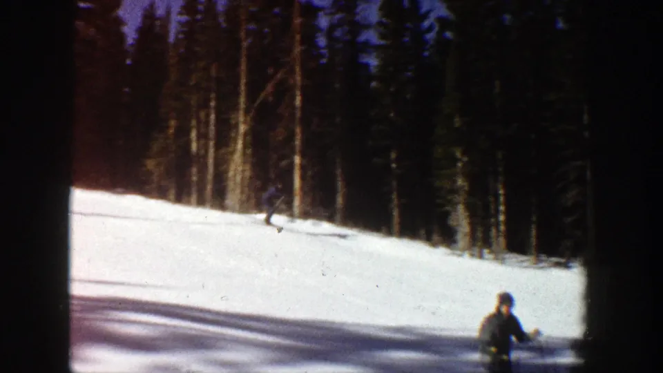 1961 Aspen ski-slope view with multiple skiers spread across snow near tall evergreen trees.