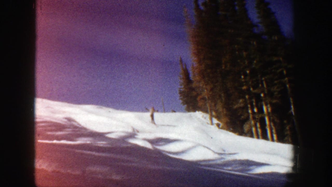 Distant skier on a snowy slope beside evergreen trees under a blue sky.