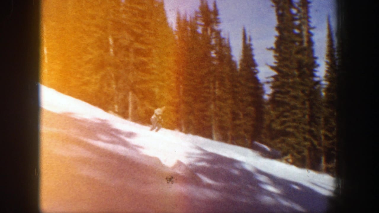 Distant skier crossing a snowy slope beside evergreen trees with warm light leak at the edge.