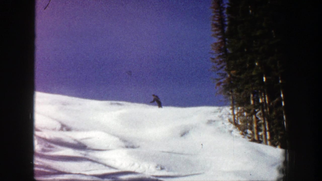 Distant skier moves across a snowy slope beside dark evergreen trees under a blue sky.