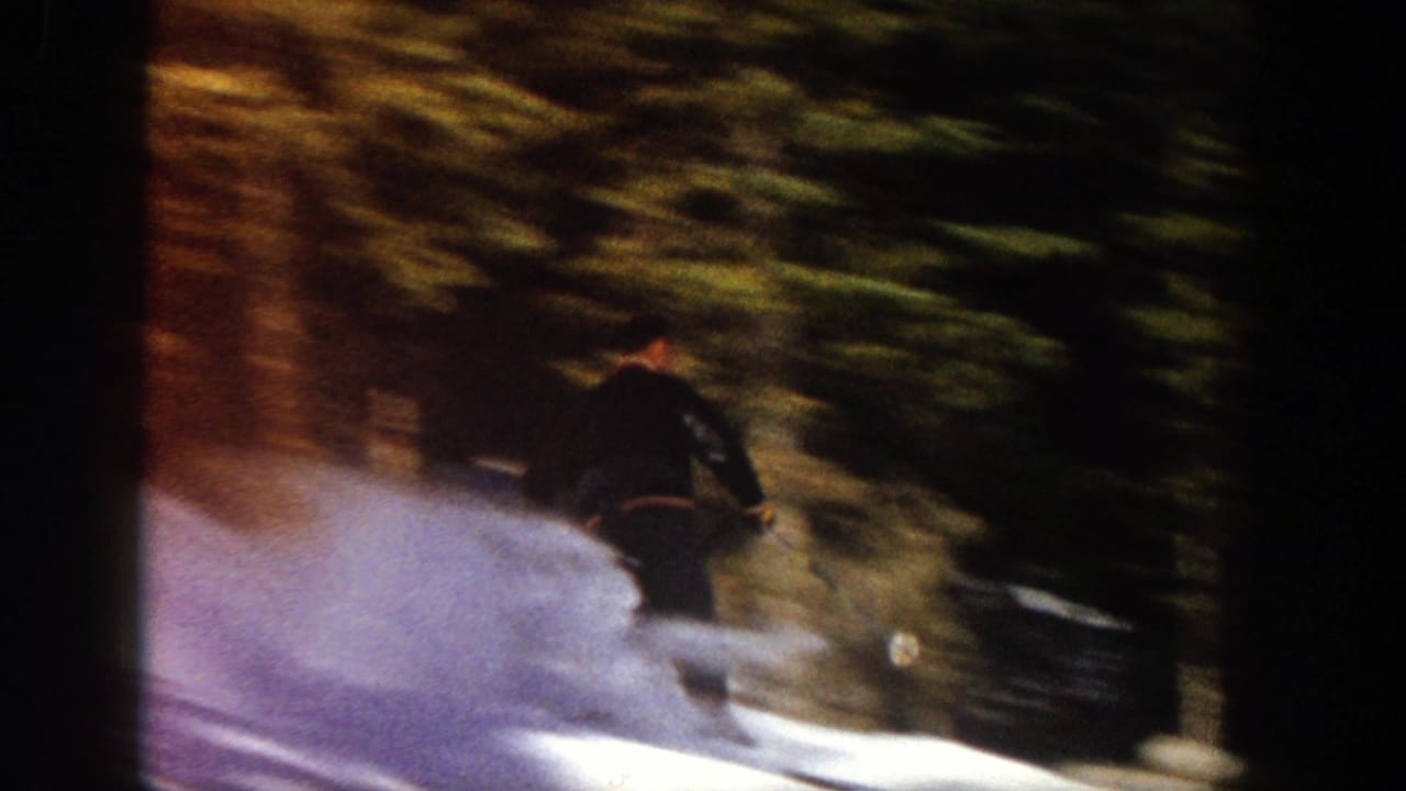 Skier in dark clothing descends a snowy slope beside evergreen trees.