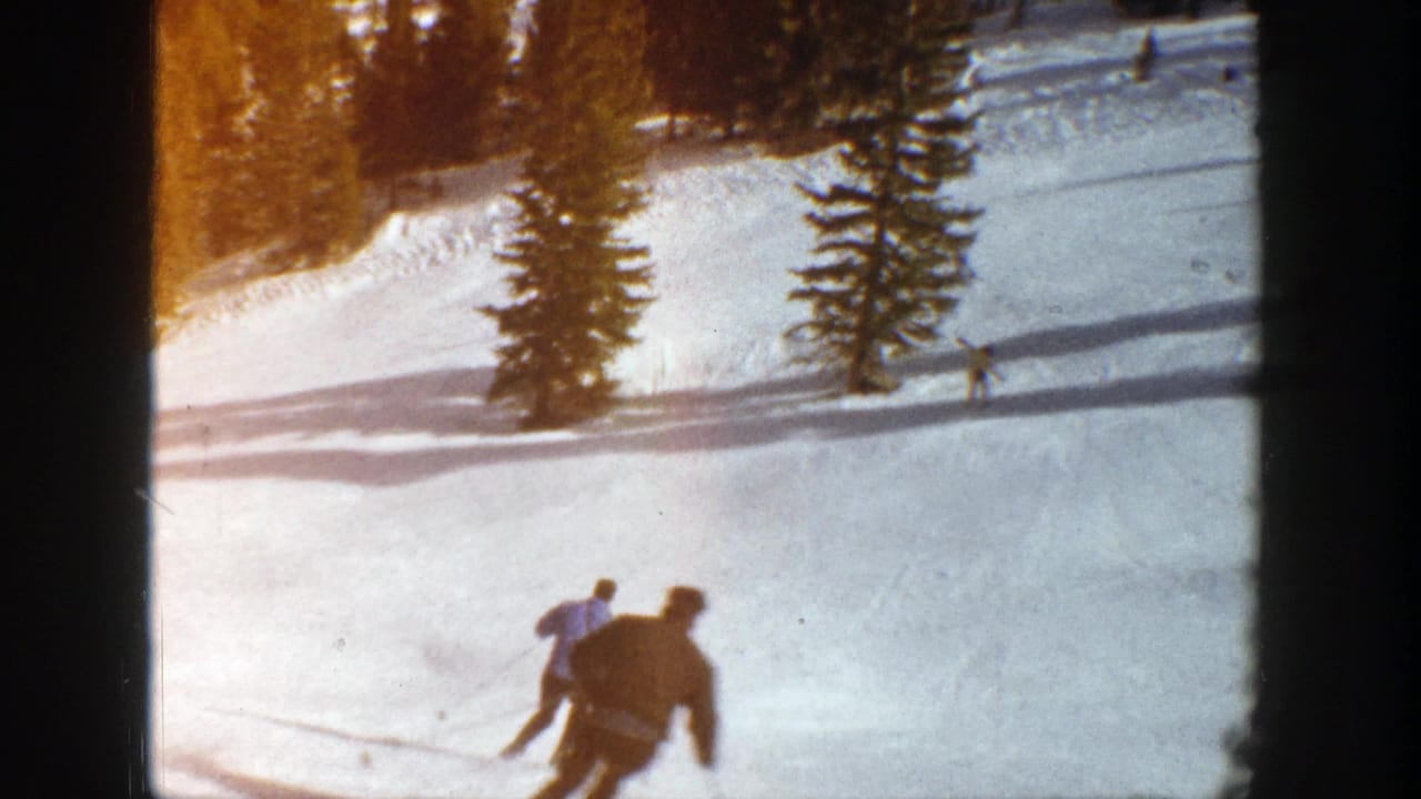 Two skiers move downhill across a snowy slope with evergreen trees in the background.
