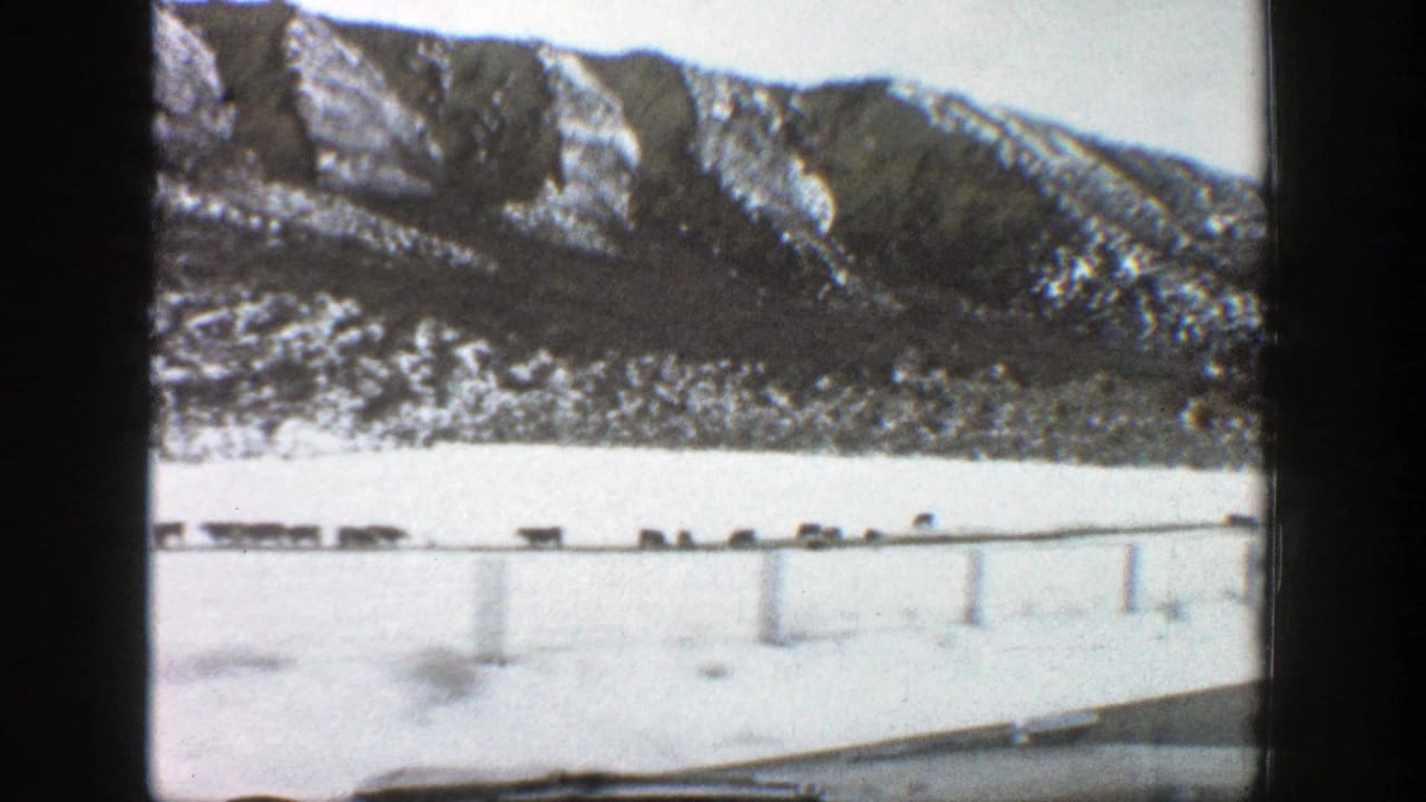 1961 Aspen, Colorado home-movie frame showing a snow-covered mountain road from inside a vehicle, with animals crossing ahead.