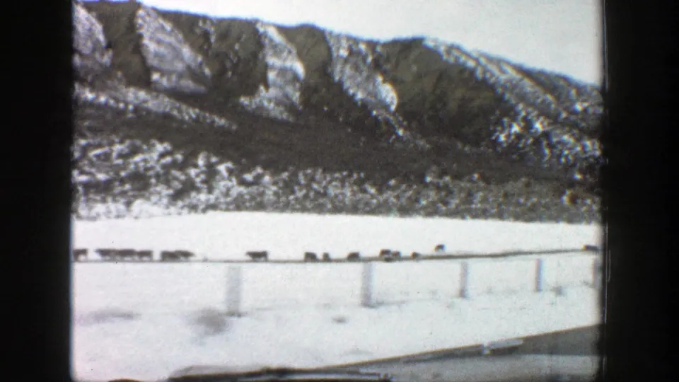 1961 Aspen, Colorado home-movie frame showing a snow-covered mountain road from inside a vehicle, with animals crossing ahead.