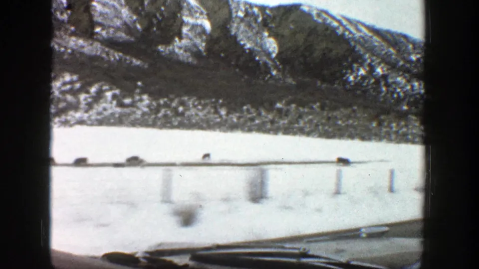 A moving-car view in the Aspen, Colorado area shows snow, rugged mountains, and animals along or crossing the roadway.