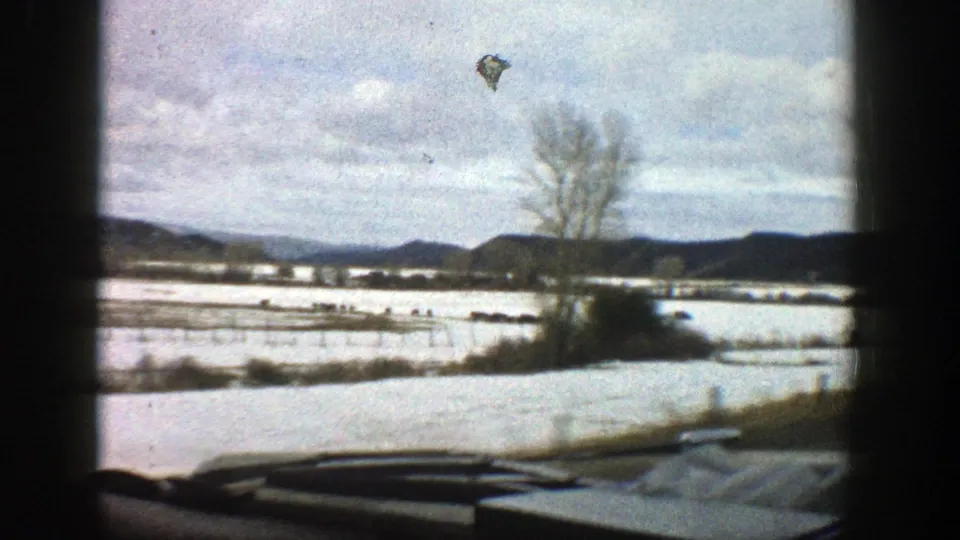 Aspen-area winter landscape from a moving vehicle, showing snowfields, distant hills, a bare tree, and the vehicle hood at the bottom edge.