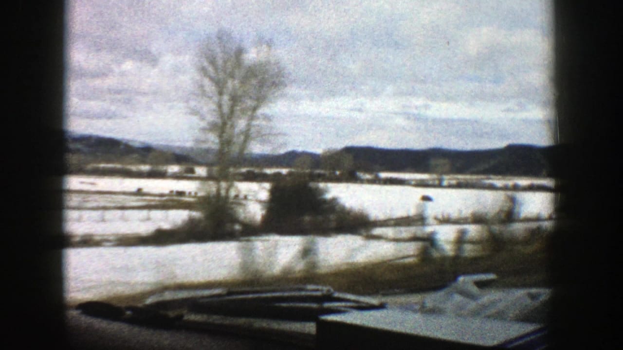 Snowy field and bare trees seen through a dark car window frame.