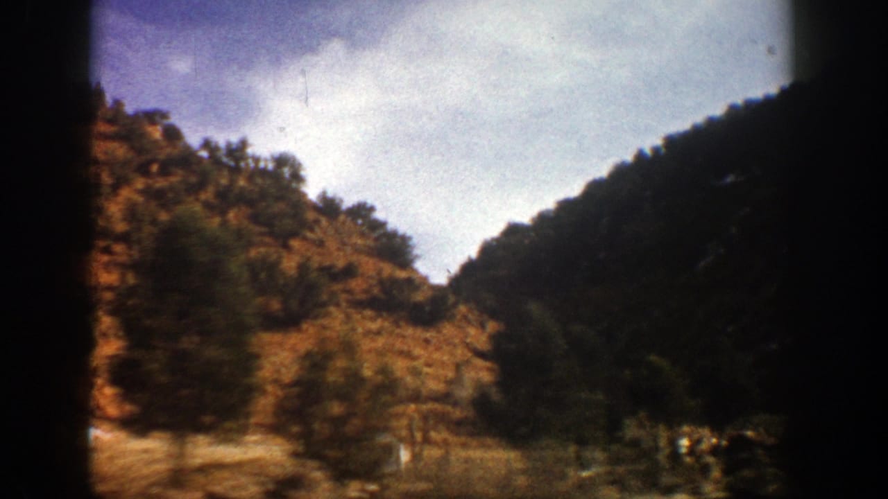 Rocky hillside and trees seen from a moving mountain road.