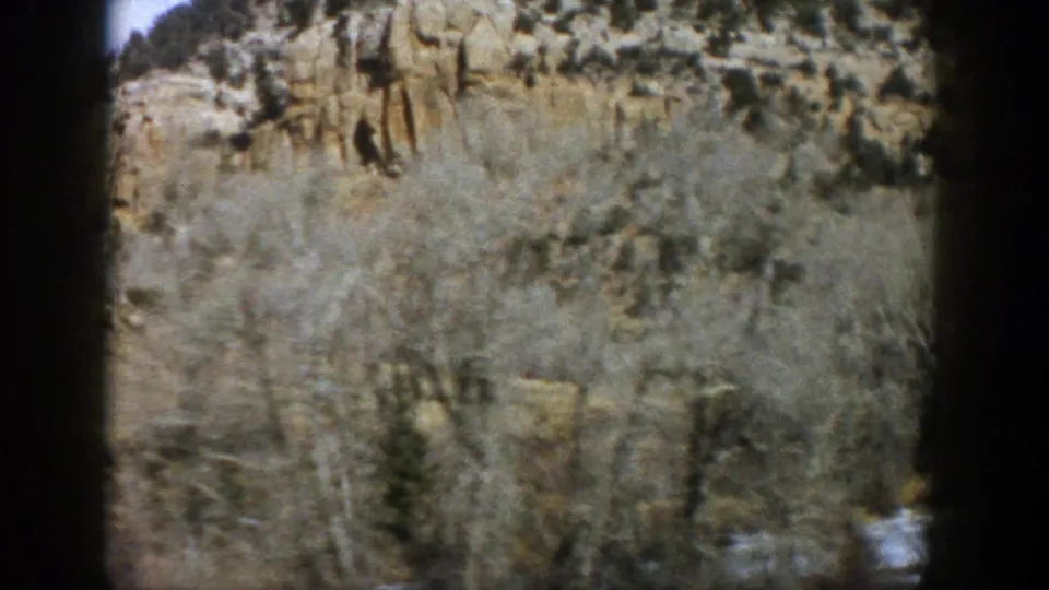 Soft 8mm frame from 1961 Aspen, Colorado showing bare trees and a rocky slope during a moving roadside shot.