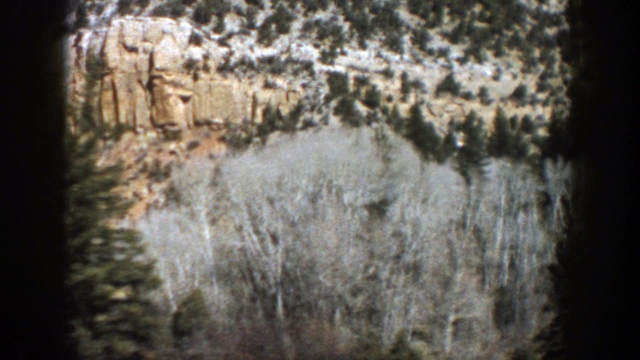 1961 Aspen, Colorado 8mm frame showing pale aspen trunks, evergreen trees, and a rocky hillside from a moving vehicle.