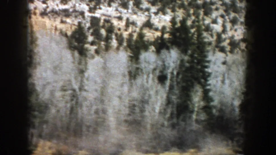 1961 Aspen, Colorado home-movie frame with aspens and evergreens sliding past during a mountain road drive.