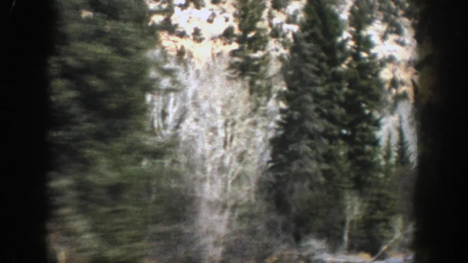 1961 Aspen, Colorado frame showing a close, blurred roadside stand of aspens and evergreens during a mountain drive.