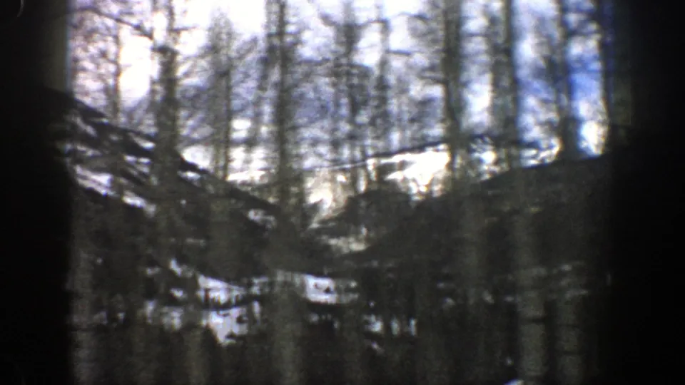 Late-frame 1961 Aspen, Colorado winter drive view through dense trees toward snowy mountain terrain.