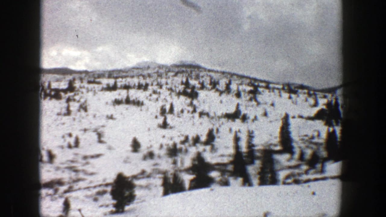 Snow-covered hillside with scattered evergreen trees under a gray sky.