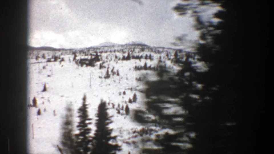 1961 Aspen winter terrain seen from a moving camera, with snowy evergreens and blurred dark trees at the frame edge.