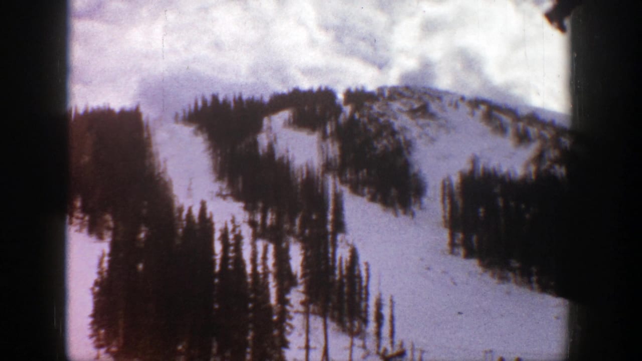 Snow-covered mountain slope with dark pine trees under a cloudy sky.