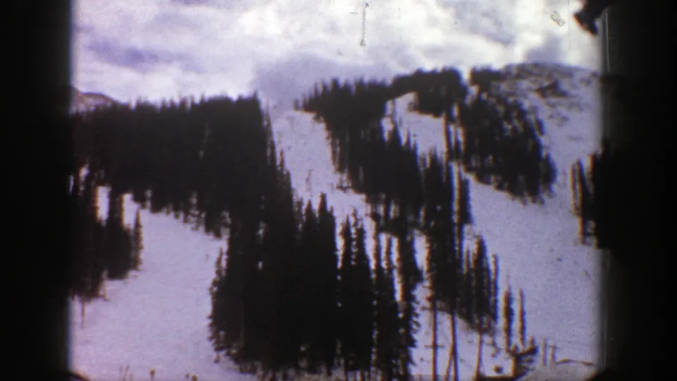 1961 Aspen frame with pale snowfields divided by dark stands of pine trees on a winter mountainside.