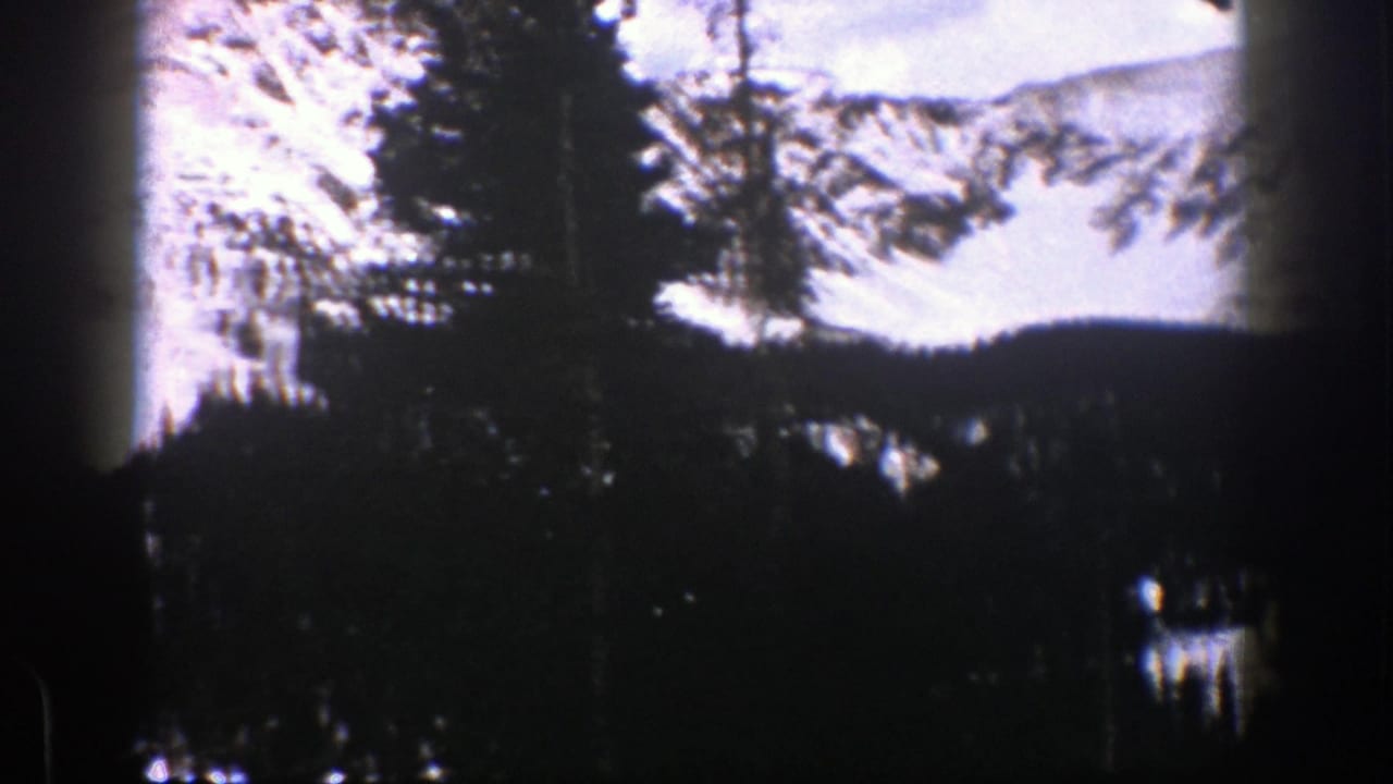 Snowy mountain ridge behind dark evergreen trees with visible 8mm film edges.