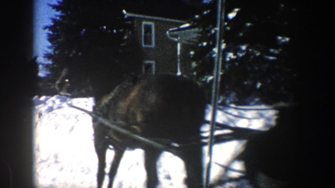 Harnessed horse and sleigh passing a snowbank near houses and trees.