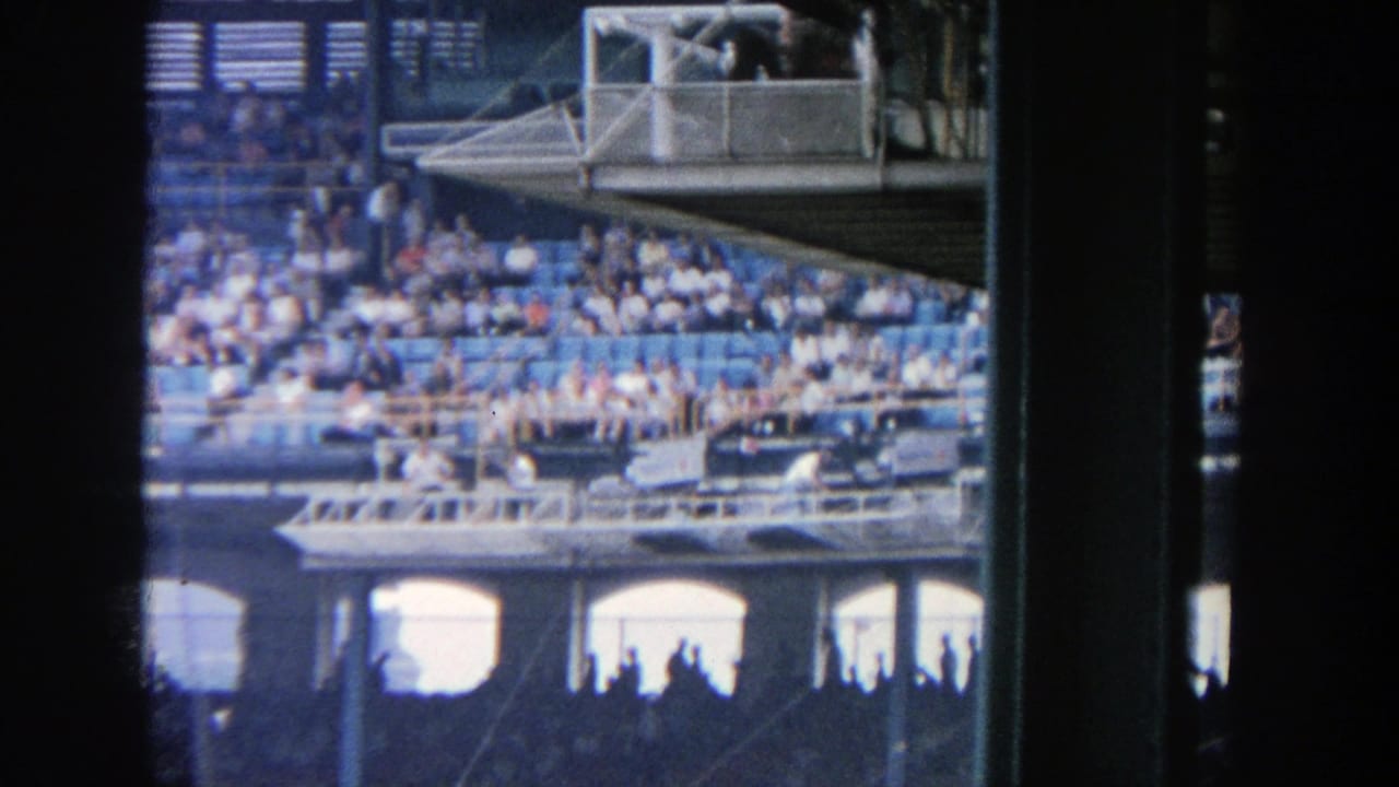 Crowded stadium seating seen through dark vertical supports.