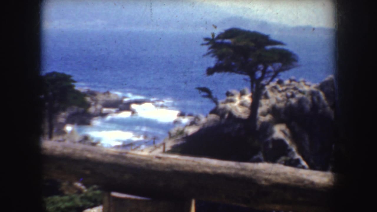 Cypress tree on a rocky coastal outcrop above blue ocean and surf.
