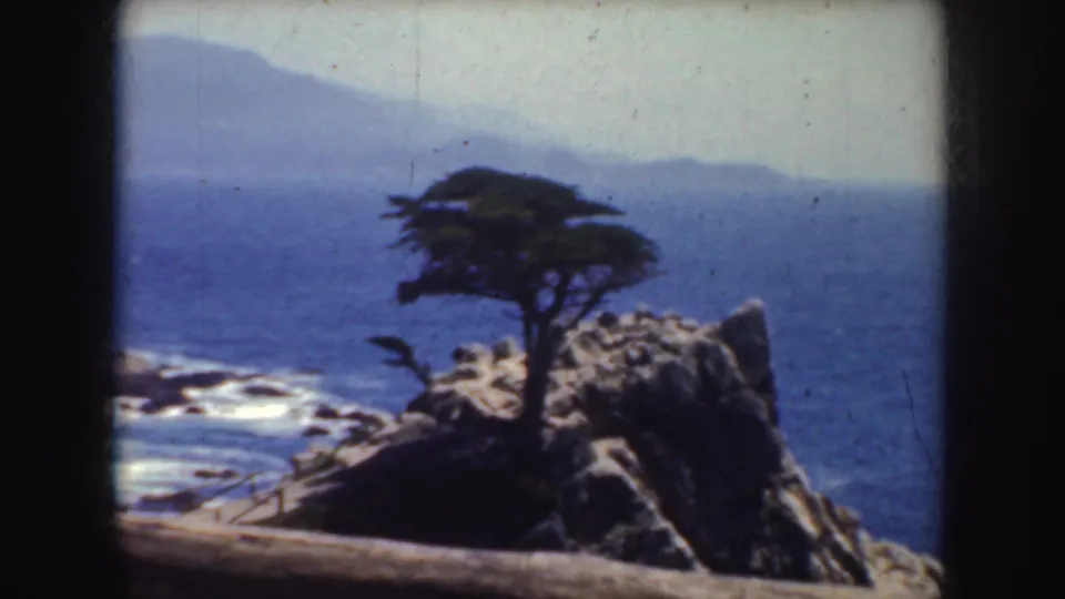 1952 California coastal view of the Lone Cypress on a rocky outcrop with blue ocean, surf, and distant hills.